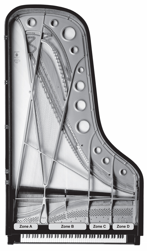 Рис. 5.2. Fazioli F278 с зонами A–D. Изображение: © Fazioli Pianoforti SpA. Фото: Роберто Дзава / Studio Step.